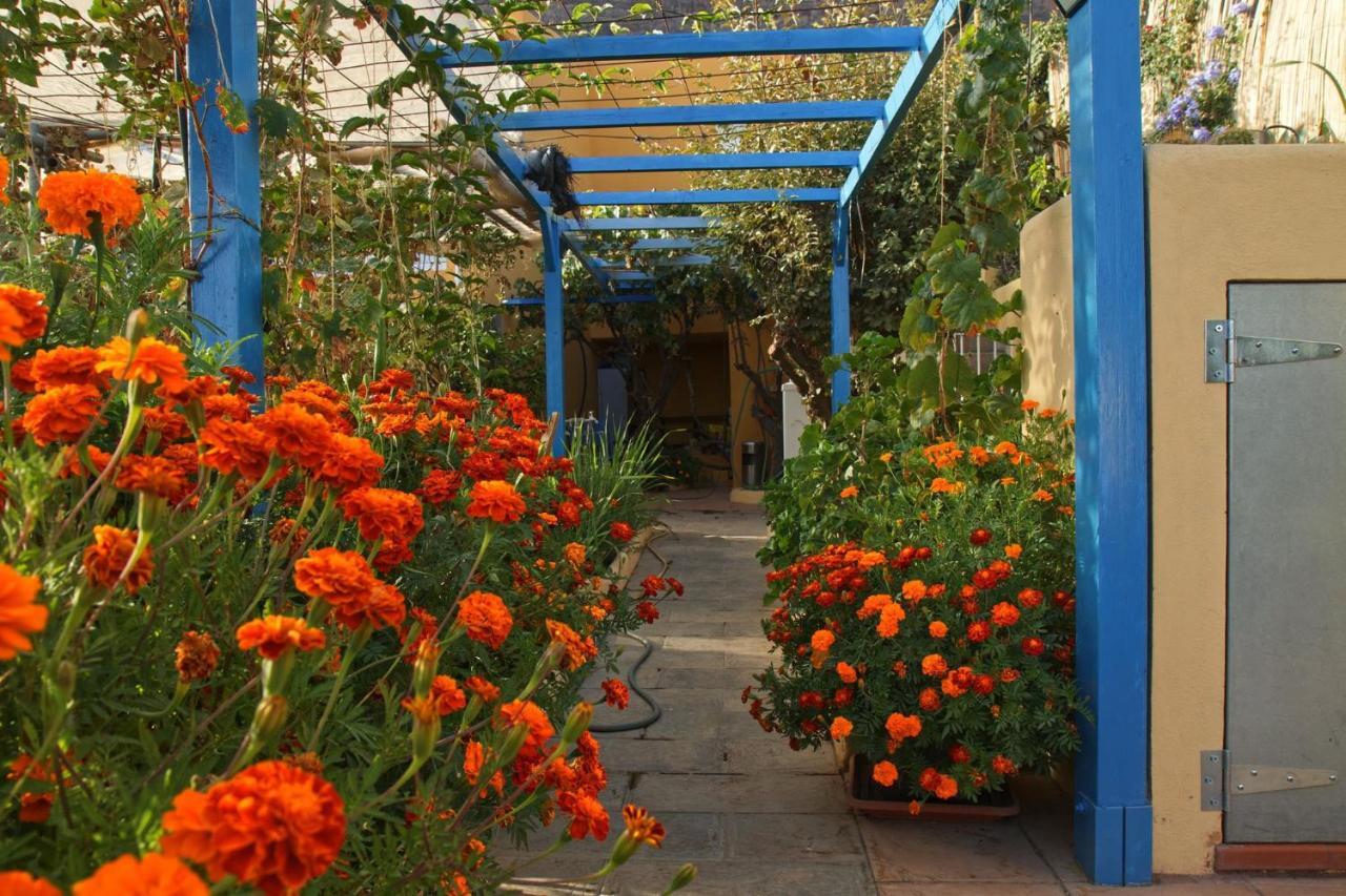 Finca Cortez ซานบาร์โตโลเม ภายนอก รูปภาพ